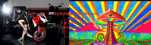 мет Алексин
