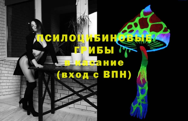 2c-b Алзамай