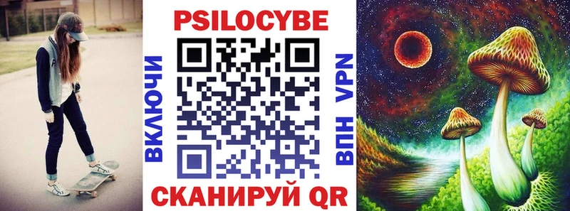 купить наркотик  Щёлкино  Псилоцибиновые грибы прущие грибы 